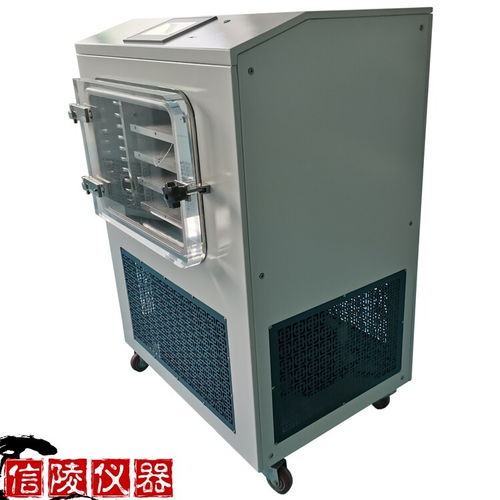 信陵仪器中型冷冻干燥机,0.4平方中型酶制品真空冷冻干燥机LGJ 30FD